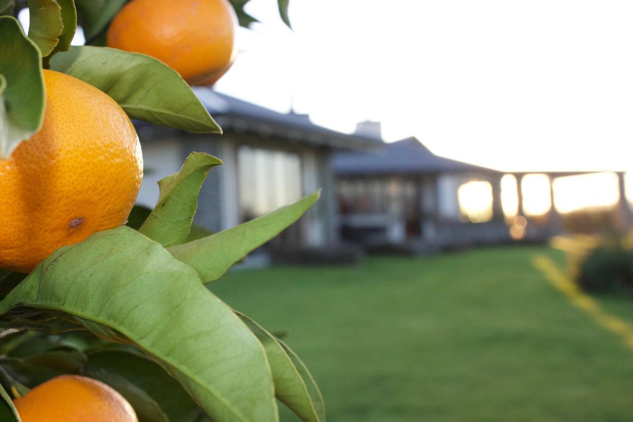 Kalldeen Luxury Accommodation Napier Exterior photo